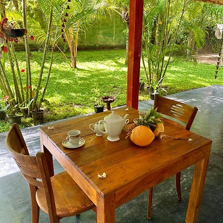 טנגלה Jasmin Homestay Marakolliya מראה חיצוני תמונה