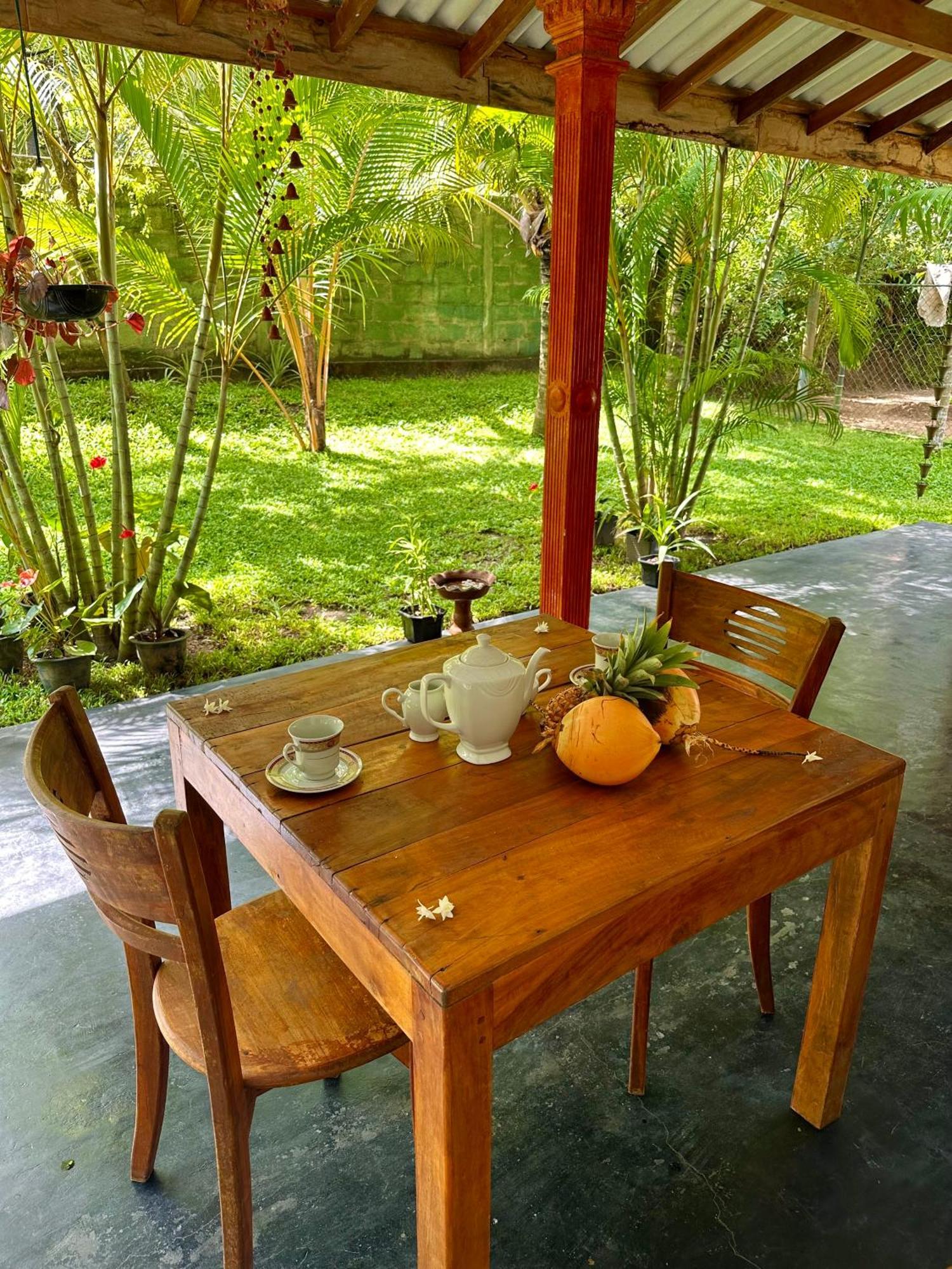 טנגלה Jasmin Homestay Marakolliya מראה חיצוני תמונה